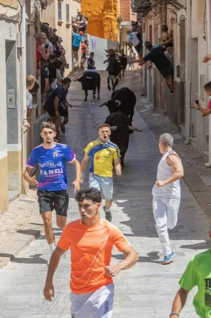 La primera cita taurina de las Fiestas Patronales de Blanca 2026 deja un primer encierro rápido y con emocionantes carreras - 2, Foto 2