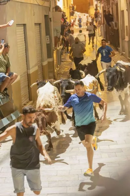 El primer encierro nocturno de las Fiestas Patronales de 2026 deja vertiginosas carreras por las calles del casco antiguo de Blanca tras un prolongado recorrido - 2, Foto 2
